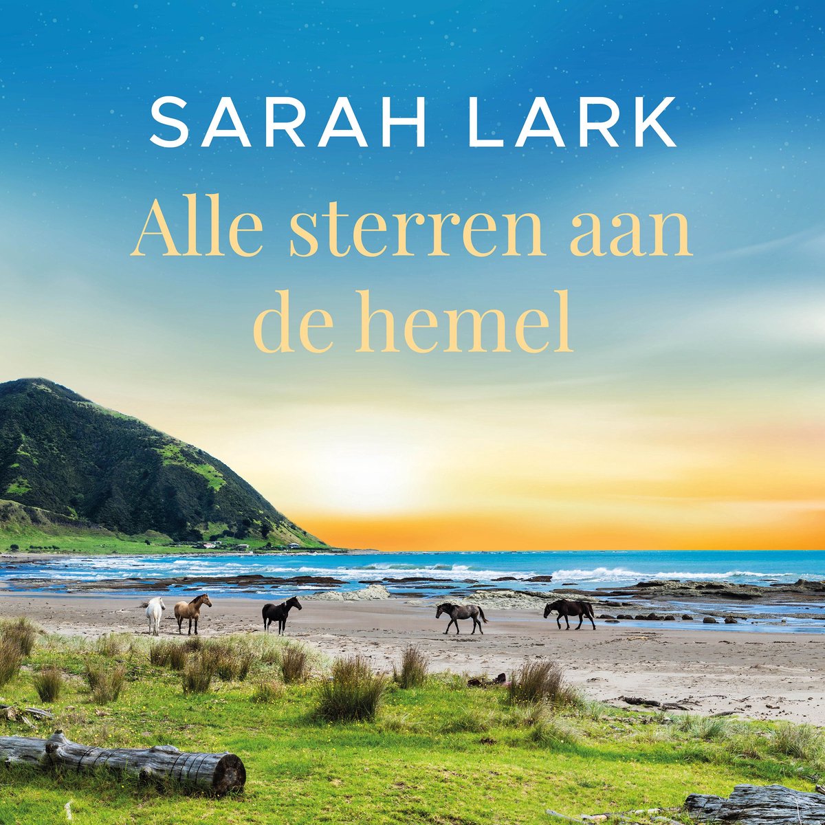 Omslag van Alle sterren aan de hemel