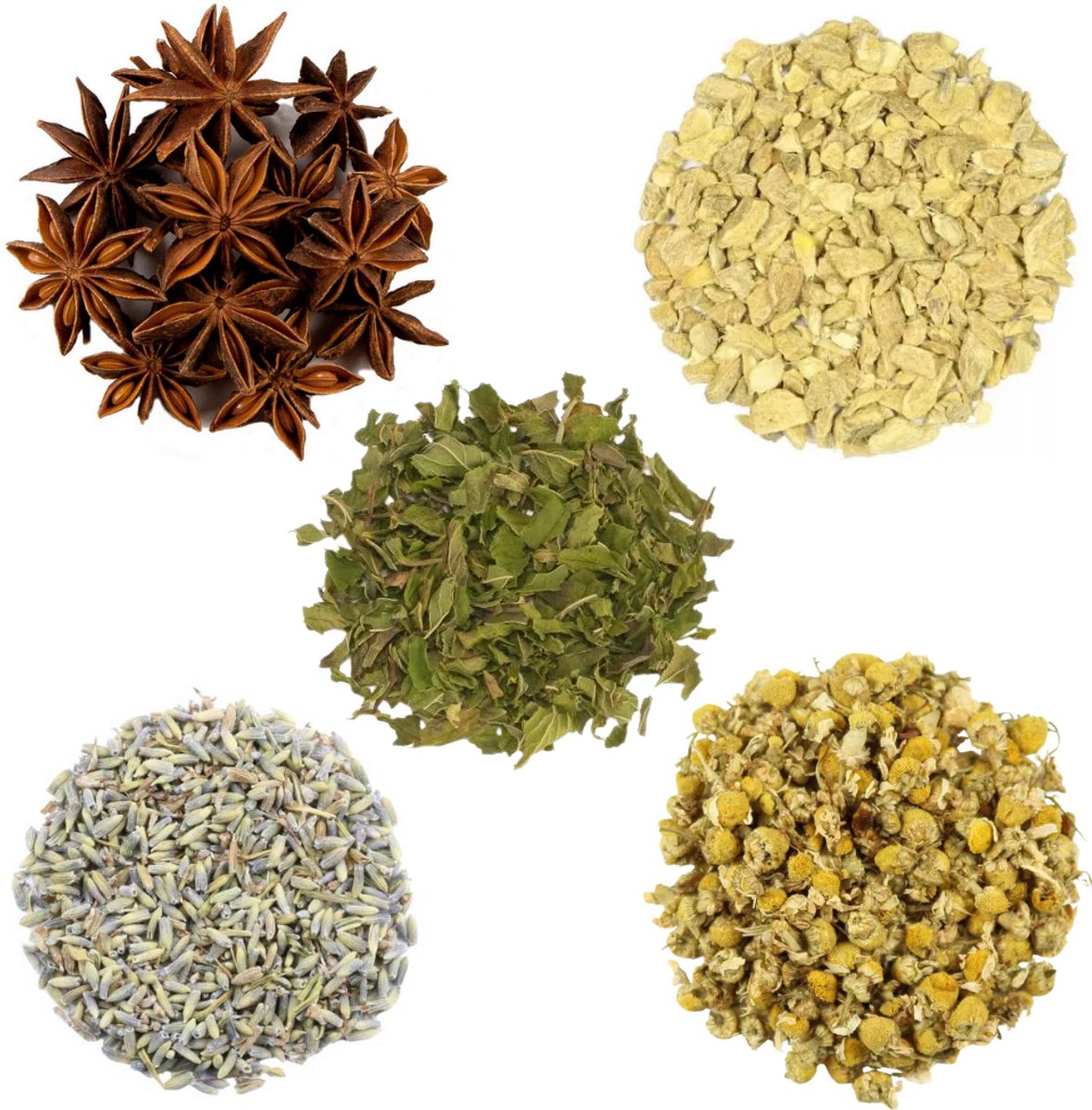 Proefpakket Pure Kruiden (1/2) – 5 x 15g Losse Kruidenthee – Kamille, Gember, Spearmint, Steranijs & Lavendel