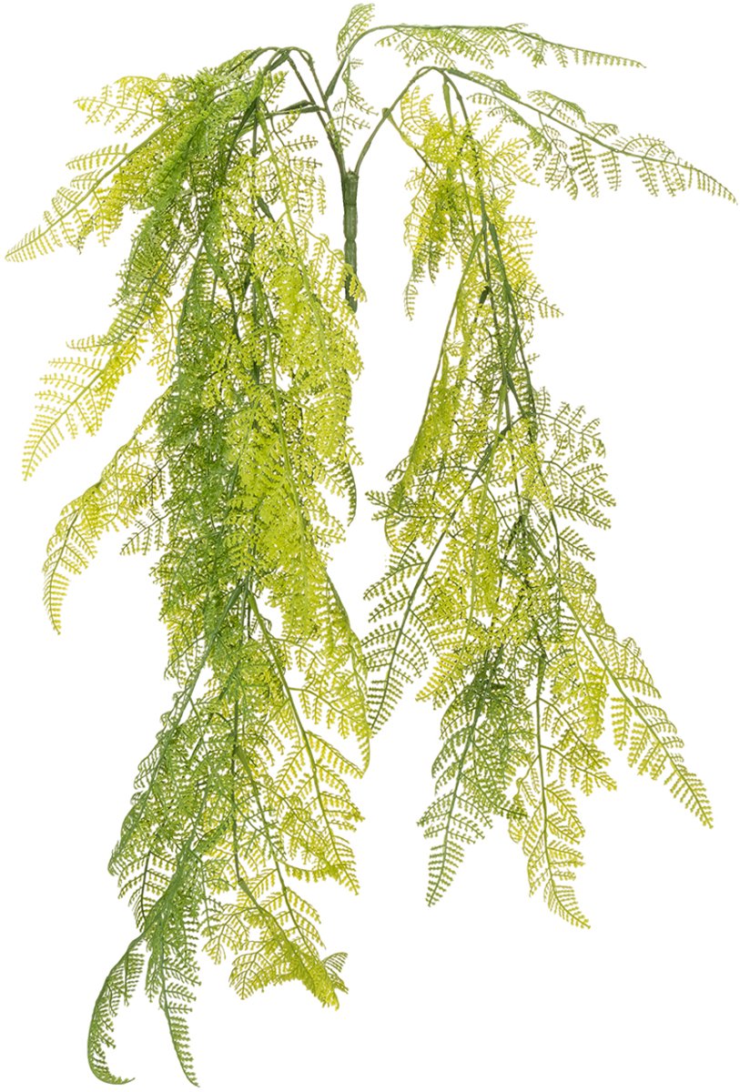 Kunstmatige hangplant in de vorm van een varen, een decoratieve blikva