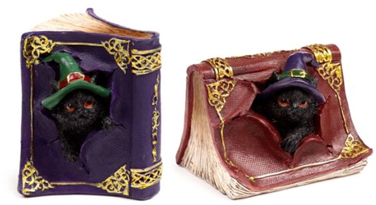 Heksen Zwarte Kat Mischievous Spell Book