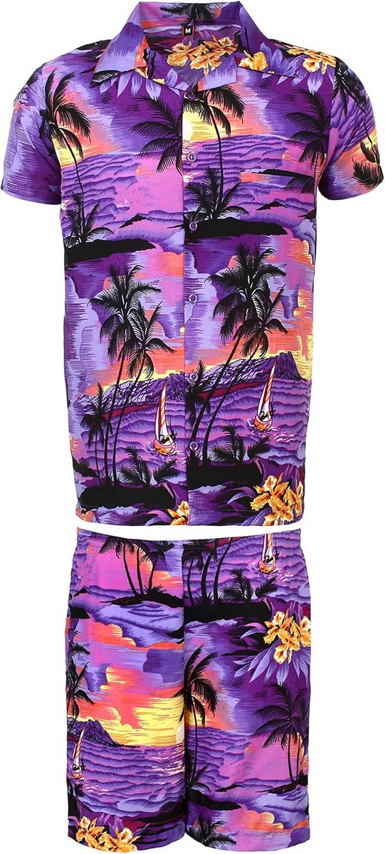 Heren Hawaii Hawaii Aloha Party Zomer Outfit Kort Set