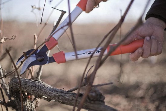 Tweehandige Bomen- en Takschaar met Aluminium Handgrepen, Semi-Pro Kwaliteit — afbeelding 3