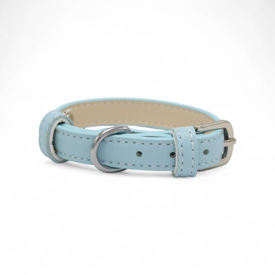 Collier pour chien en PU bleu clair avec boucle argentée