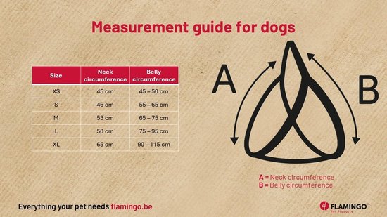 Maattabel voor honden tuigjes met afmetingen voor nek- en buikomtrek. A = nekomtrek, B = buikomtrek.