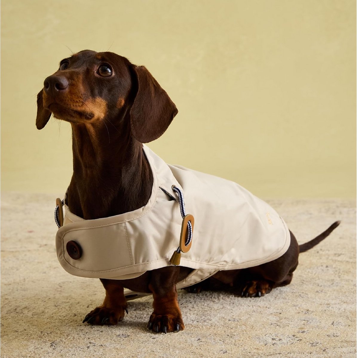 Lichte Regenjas voor Kleine Honden - Waterdicht en Wasbaar