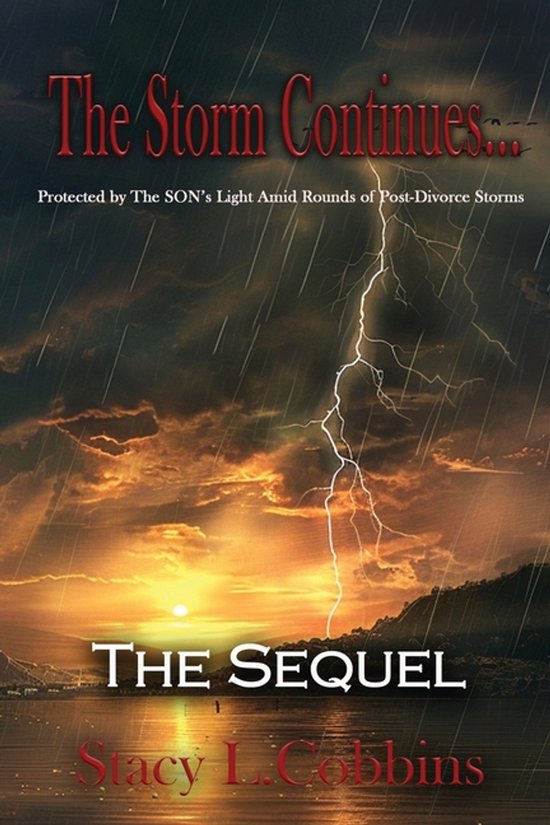 The Storm Continues-The Storm Continues... The Sequel - cover