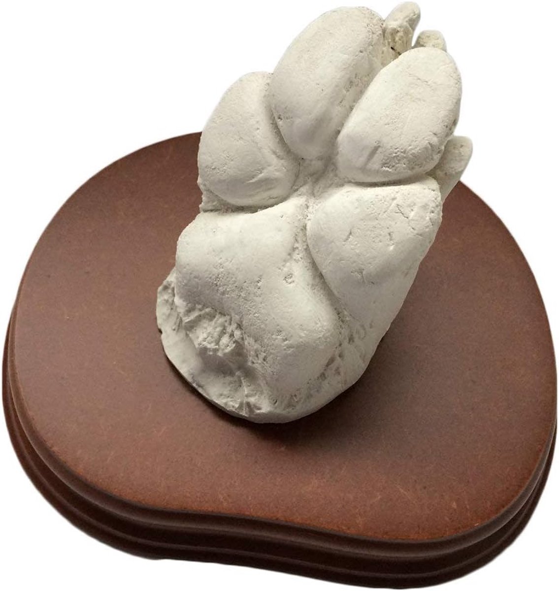 Handen Sculptuur Set - Liefdesbeeld - Romantisch Cadeau - Inclusief Houten Sokkel - 20 x 18 cm