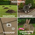 Collage: molshopen, kat, vogelpoep, aangevreten planten. Toont problemen die verjaagd moeten worden.