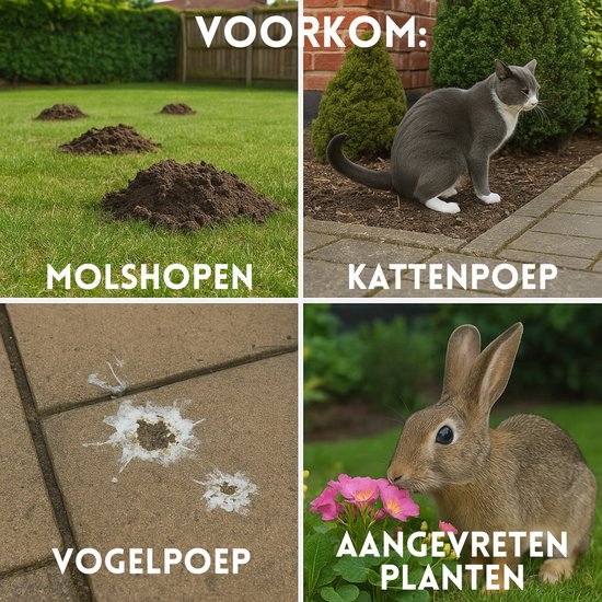 Collage: molshopen, kat, vogelpoep, aangevreten planten. Toont problemen die verjaagd moeten worden.
