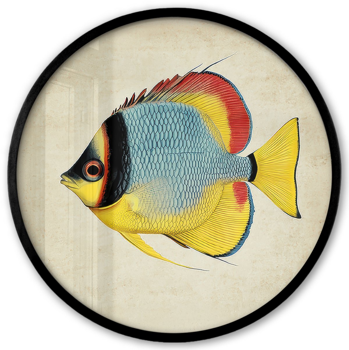 FrameYourWall Poster in lijst Rond - Fotolijst 40x40 cm - Posters - Kleurrijk - Vis - Schubben - Illustratie - Ronde posterlijst zwart - Decoratie - Wanddecoratie woonkamer - Muurdecoratie slaapkamer Vis - Kleurrijk