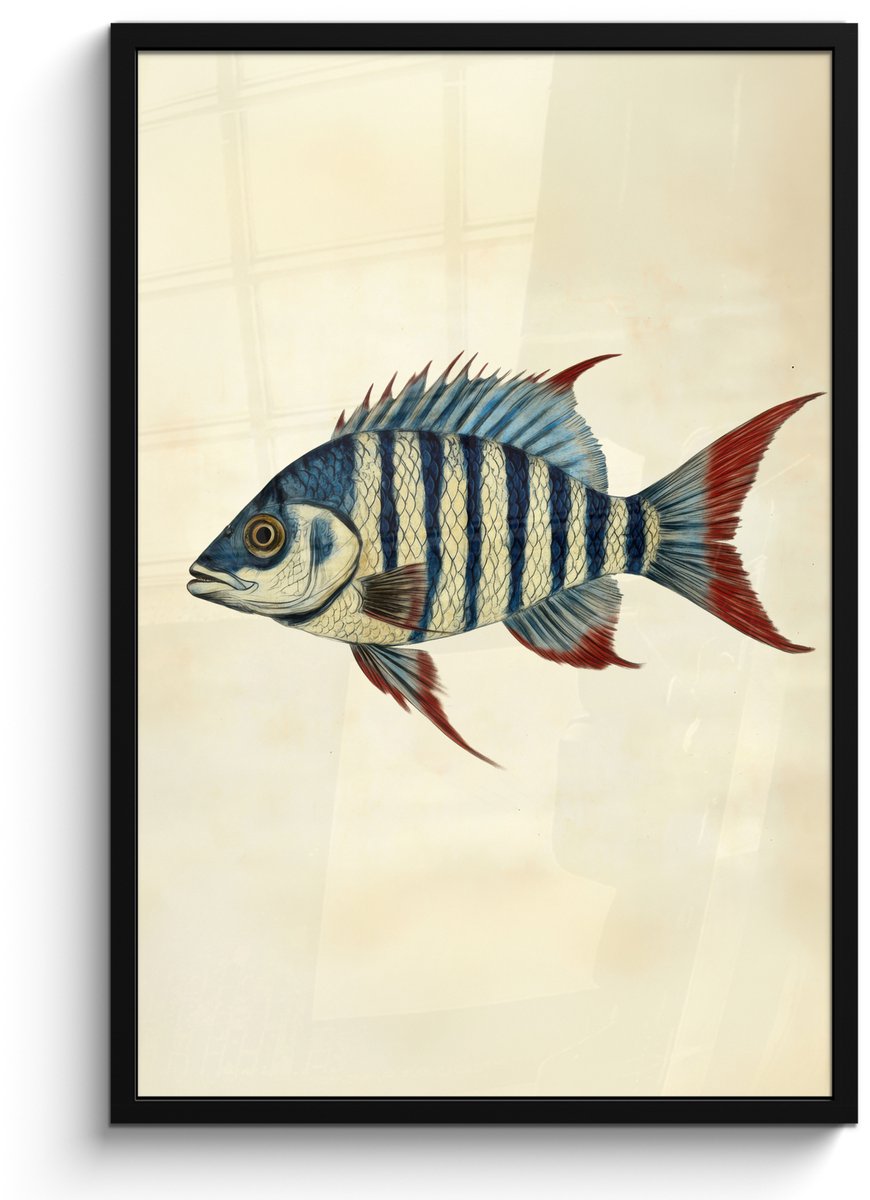 FrameYourWall Poster in lijst - Fotolijst 60x90 cm - Posters - Gestreept - Donkerblauw - Rugvin - Vis - Posterlijst zwart - Decoratie - Wanddecoratie woonkamer - Muurdecoratie slaapkamer Vis - Rugvin