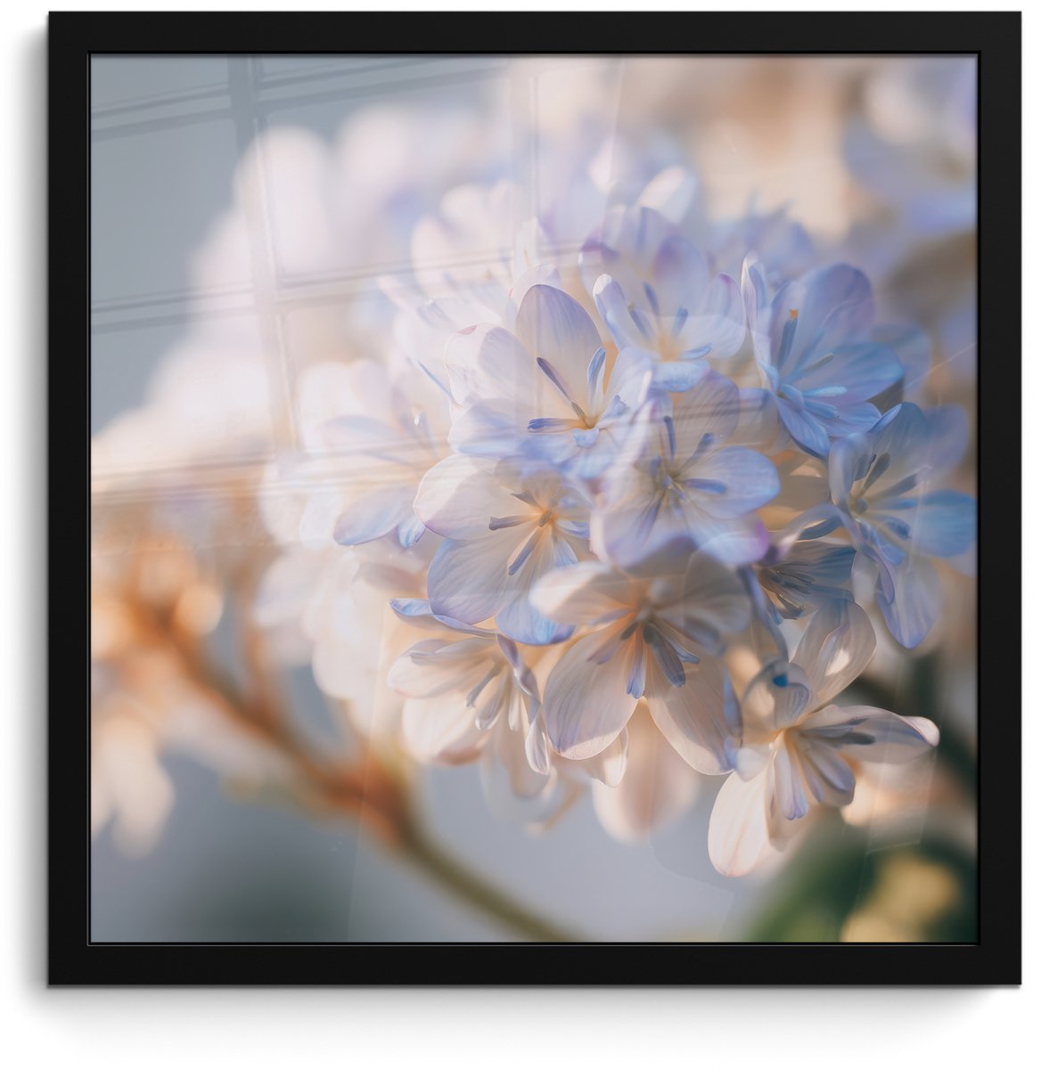 FrameYourWall Poster in lijst - Fotolijst 40x40 cm - Posters - Bloemen - Lichtblauw - Wazig - Trosje - Posterlijst zwart - Decoratie - Wanddecoratie woonkamer - Muurdecoratie slaapkamer