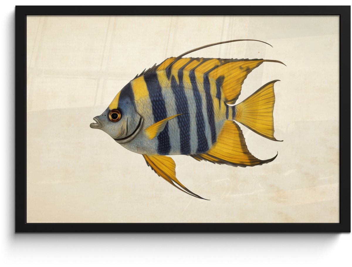 FrameYourWall Poster in lijst - Fotolijst 60x40 cm - Posters - Vis - Sierlijk - Vinnen - Illustratie - Posterlijst zwart - Decoratie - Wanddecoratie woonkamer - Muurdecoratie slaapkamer