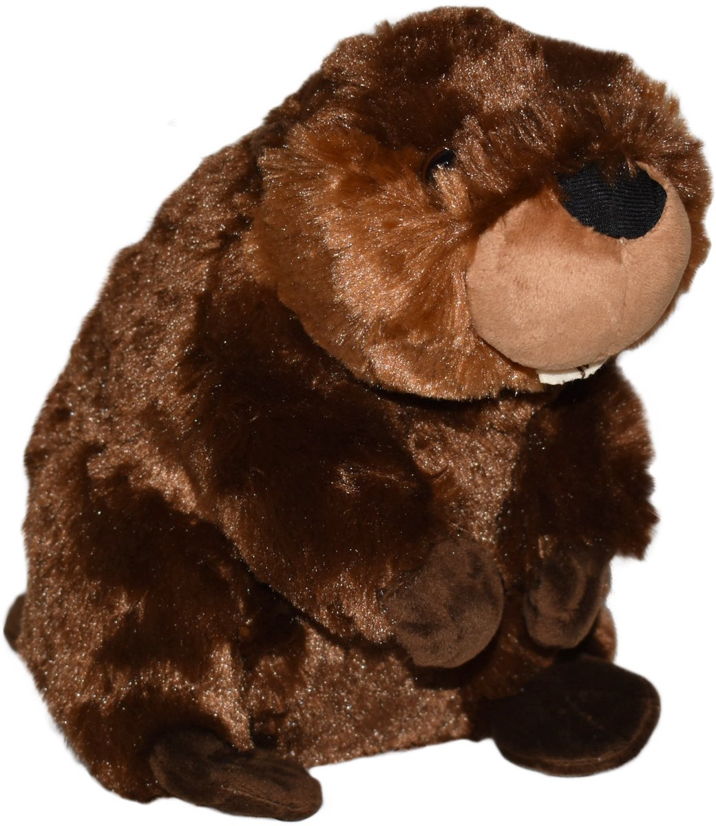 Wild Republic knuffel Bever - pluche - 30 cm - bruin - knuffeldier