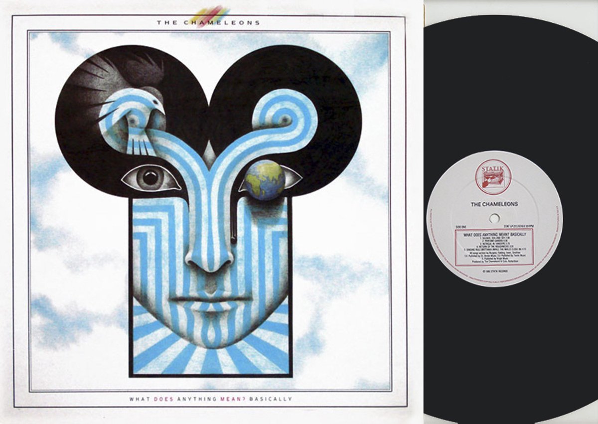 The Chameleons - What Does Anything Mean? Basically (LP)