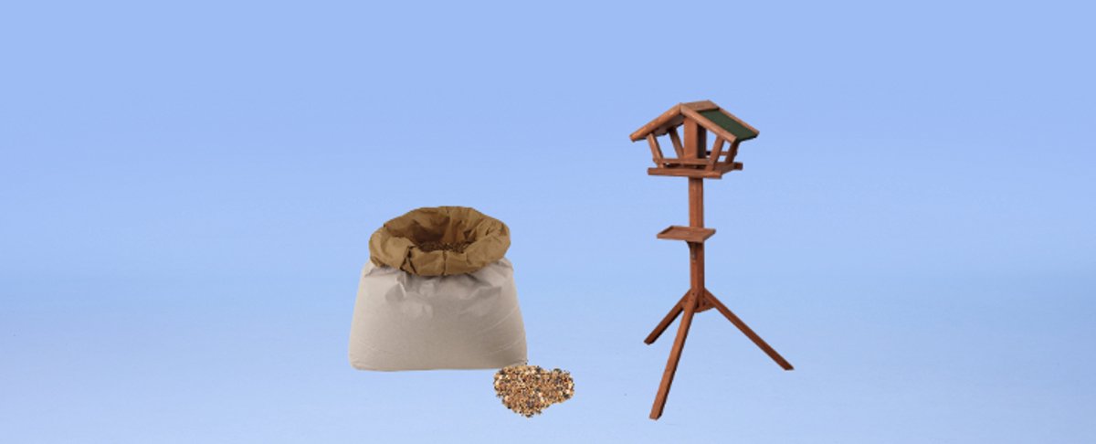 Aidez les oiseaux du jardin