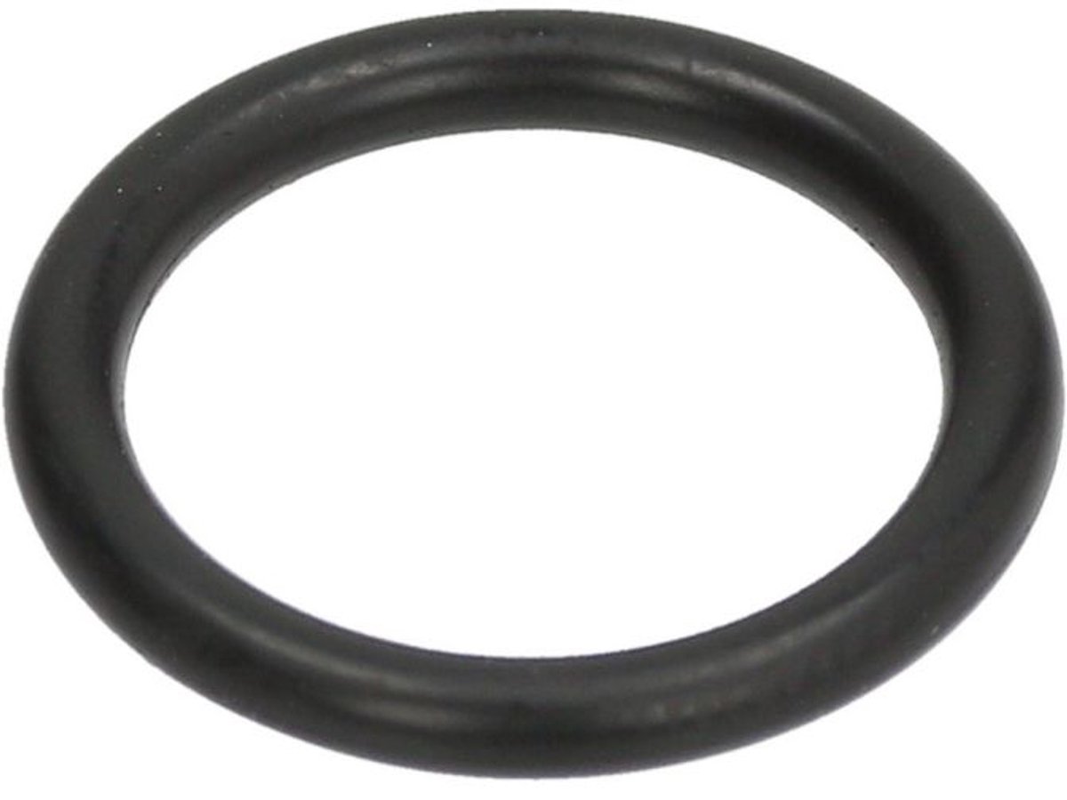 Saeco O-ring D=17mm. SUP038, HD8943, HD8954 12000620