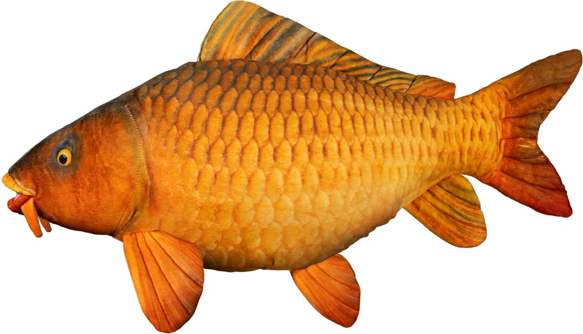 Viskussen Karel Karper 60 cm Pluche Vis Kussen Knuffel Karperknuffel Hoofdkussen Karperkussen Goud