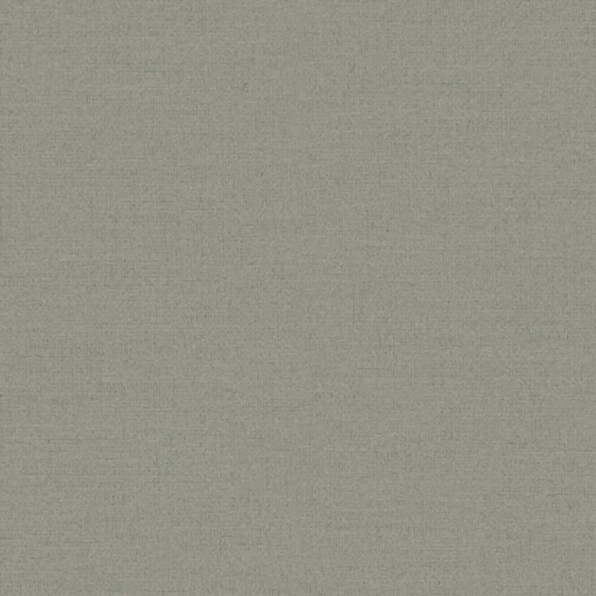 Studio Swaai – Essentie: Uni Collectie Behang | Vergrijsdgroen SW-00-UN09