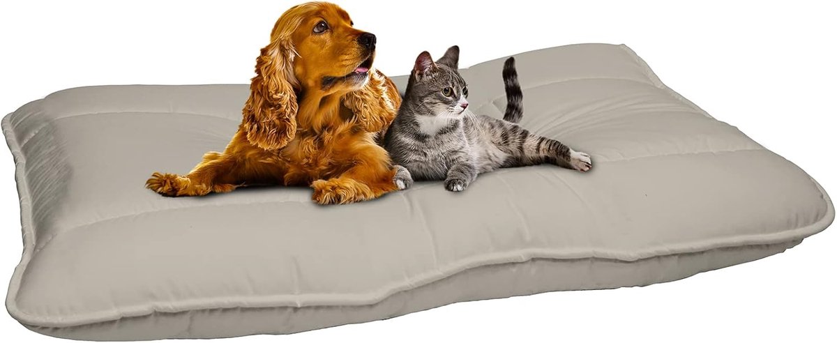 Hondenkussen 60x100cm Lichtgrijs – Groot en Elegant Ligkussen voor Honden – Comfortabel & Stevig Hondenbed