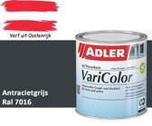 Gris antracite