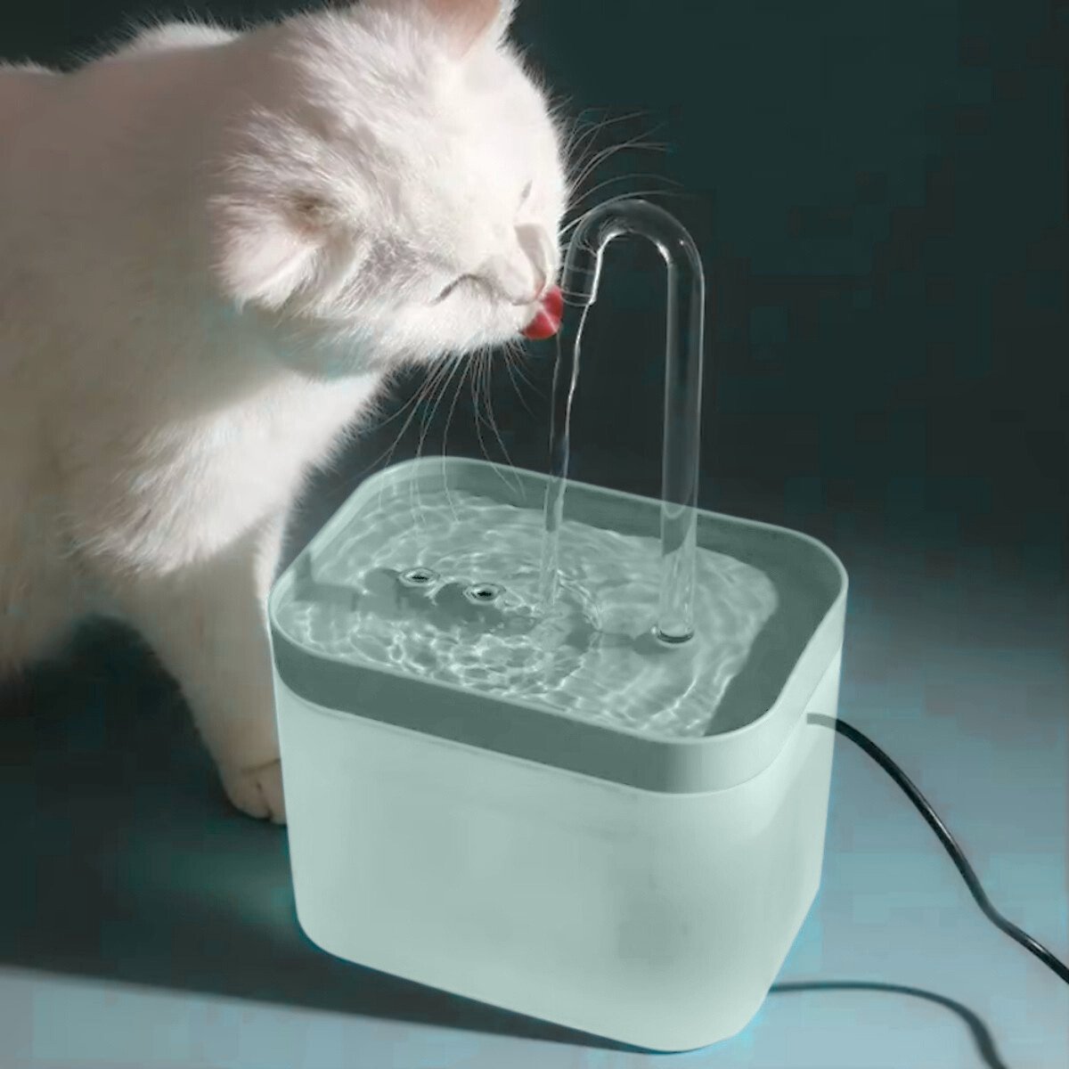 Boncy® Luxe Drinkfontein Kat & Hond - Waterfontein met Stille Pomp - Automatisch Circulatie Filter - Kattenfontein Groen - drinkfonteinen - Katten fontein drinkbak - waterdispenser thumbnail 8