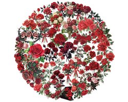 Foto: 