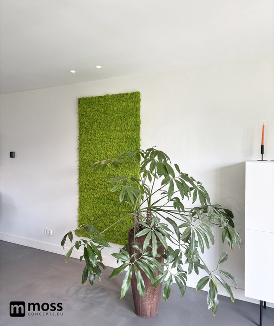 MOSS concepts Moswand paneel rendiermos springgroen