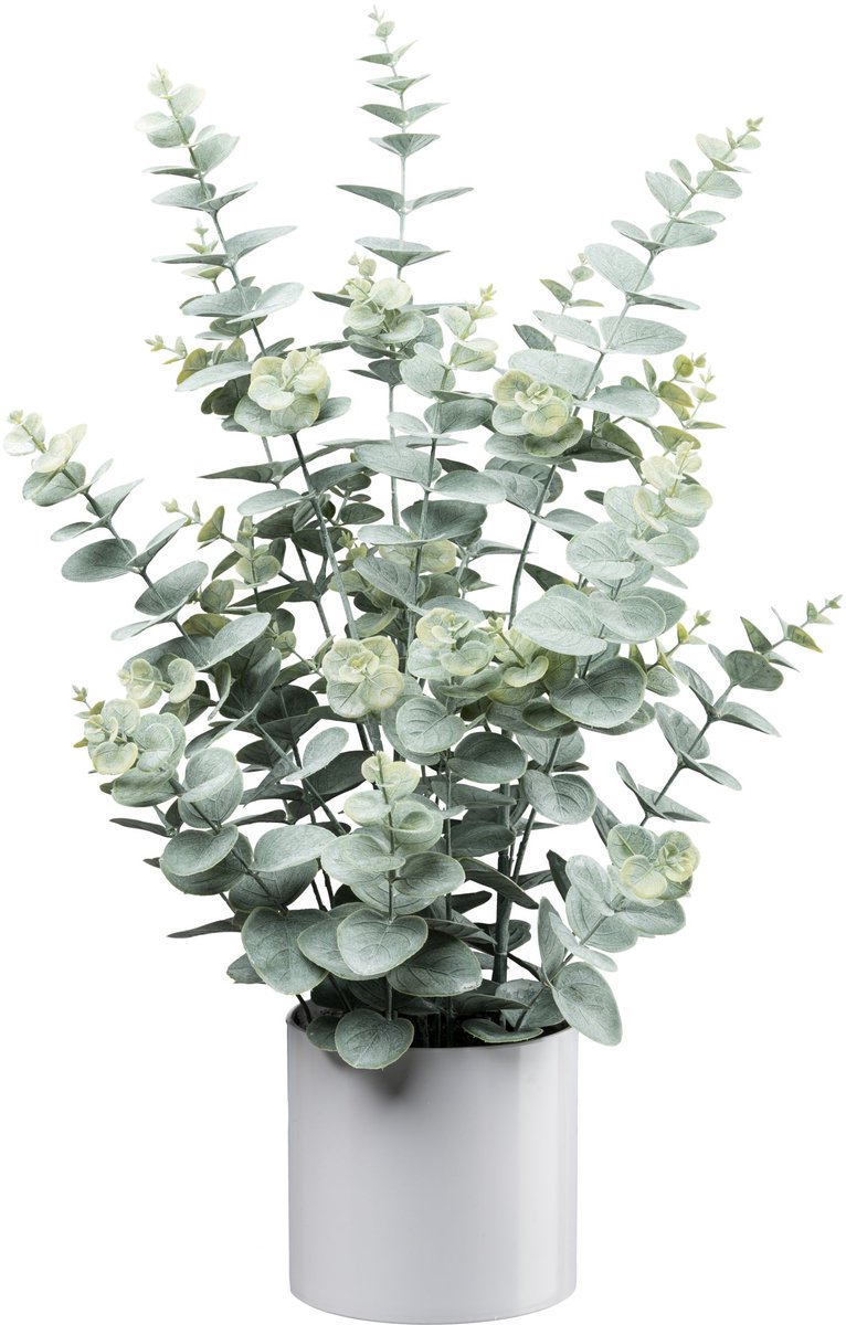 Kopu Kunstplant Eucalyptus 66 cm In Grijze Pot - Groen/grijs Blad