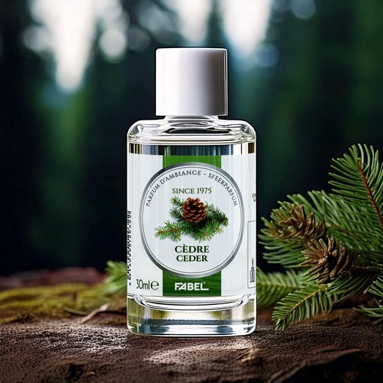Fabel Sfeerparfum Cèdre op rots met mos, omringd door dennentakjes.