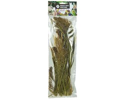Vogelgierst (Setaria): een natuurlijke lekkernij voor vogels - Vogelgierst (Setaria) - Overige zaden - Versnaperingen - Vogelvoer - Vogelzaad