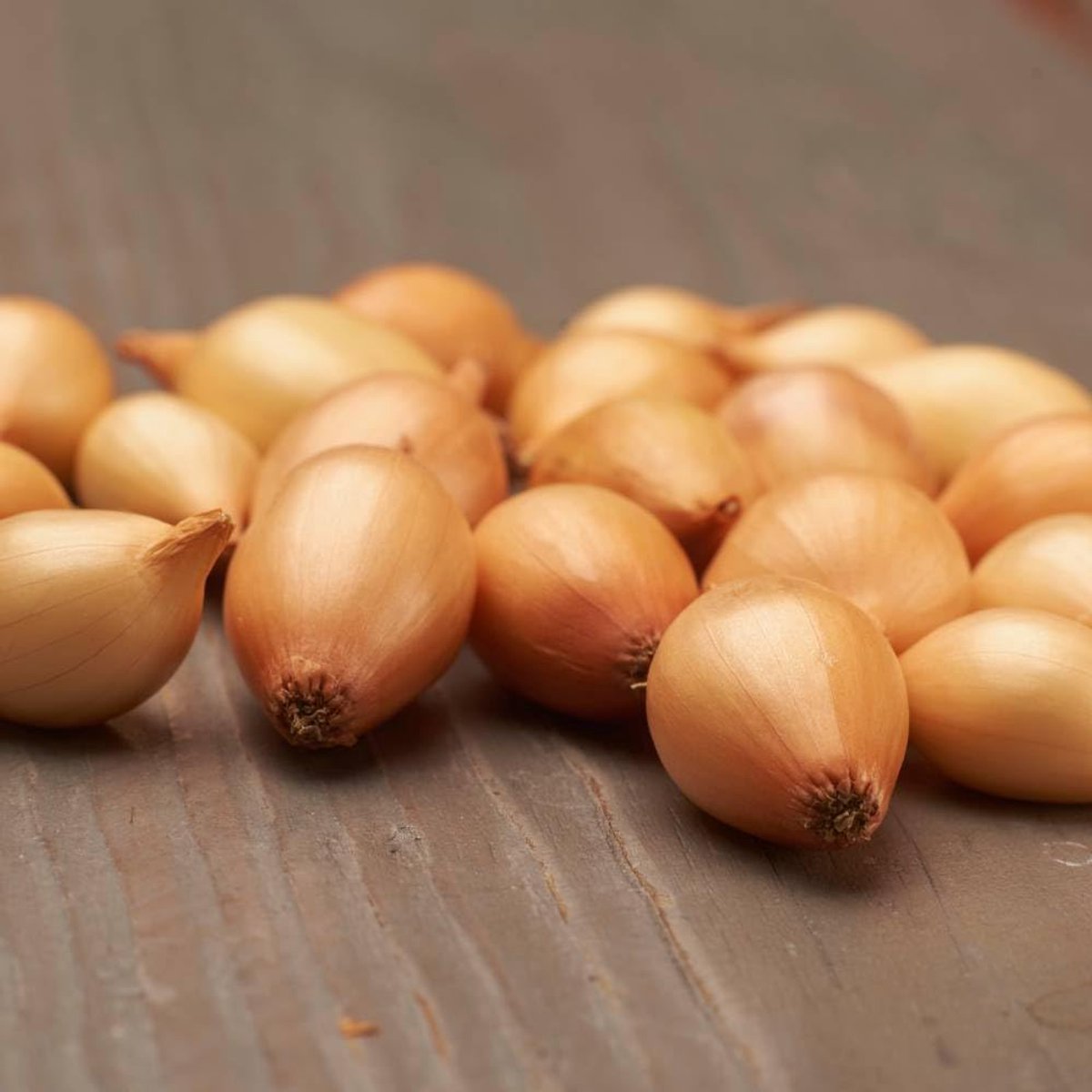 Ui bol om te plant - Uibollen - Sturon - Bloembollen - 500 gram - Geel - Voor de Moestuin