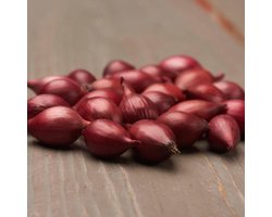 Plantui - Karmen - 500 gram - Rood - Uien voor Tuin - Bollen om te Planten - Voor de Moestuin