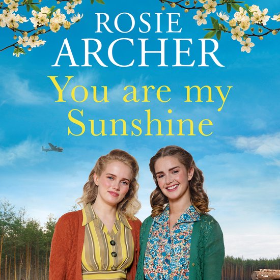 You Are My Sunshine - cover