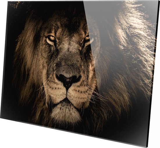 LION SUR PLEXIGLAS | Lion | Lion | Plexiglas | Photo sur plexiglas | Décoration murale | 60 cm x 40 cm | Peinture | Sur le mur | Animaux | Nature