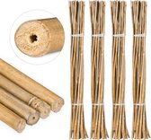Relaxdays 100x bamboestokken - tonkinstokken - bamboestok - set - decoratie - 105 cm
