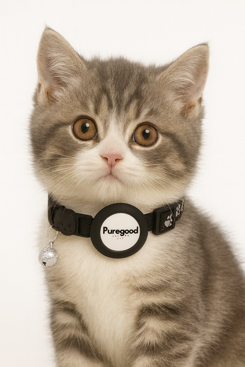 Kattenhalsband 2x - Reflecterend, Veiligheidssluiting met airtag – Verstelbare Halsband voor Kat & Kitten – Zwart, Roze & Blauw – Geschikt voor Grote & Kleine Katten