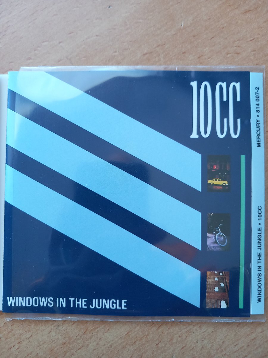 Windows In The Jungle