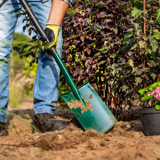 KADAX Spade, tuinspade om te graven, tuinschep met ergonomische steel, schep van metaal, grafschep voor tuin, schip, tuinspade, grafschep (rond, D-greep) van Merkloos	 — afbeelding 5