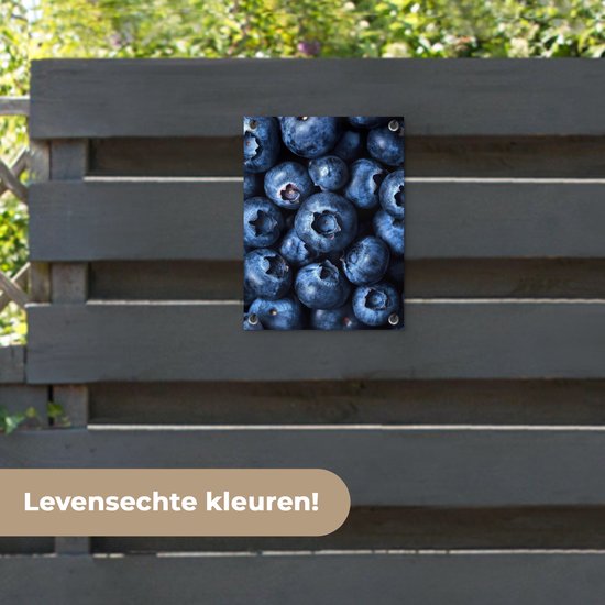 Tuinposter 30x40 cm - Tuindecoratie Bessen - Blauw - Fruit - Poster voor in de tuin - Buiten decoratie - Schutting tuinschilderij - Tuindoek muurdecoratie - Wanddecoratie balkondoek