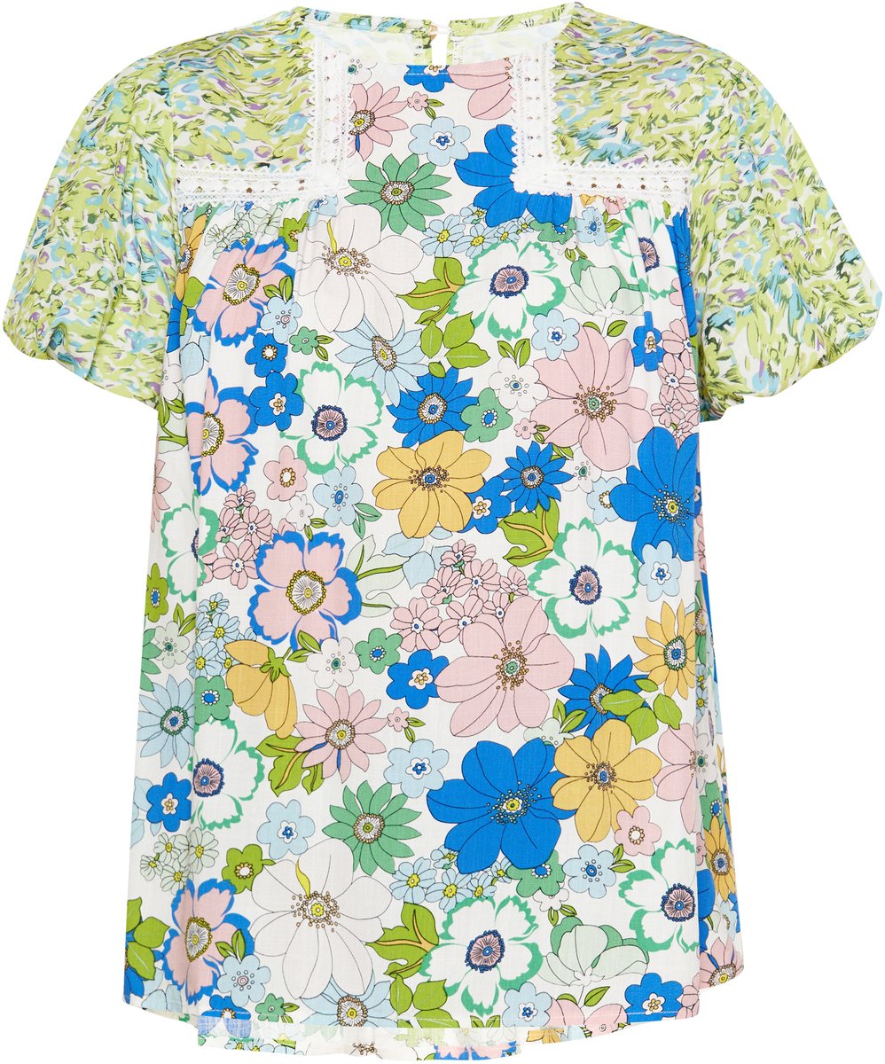 usha Blouse