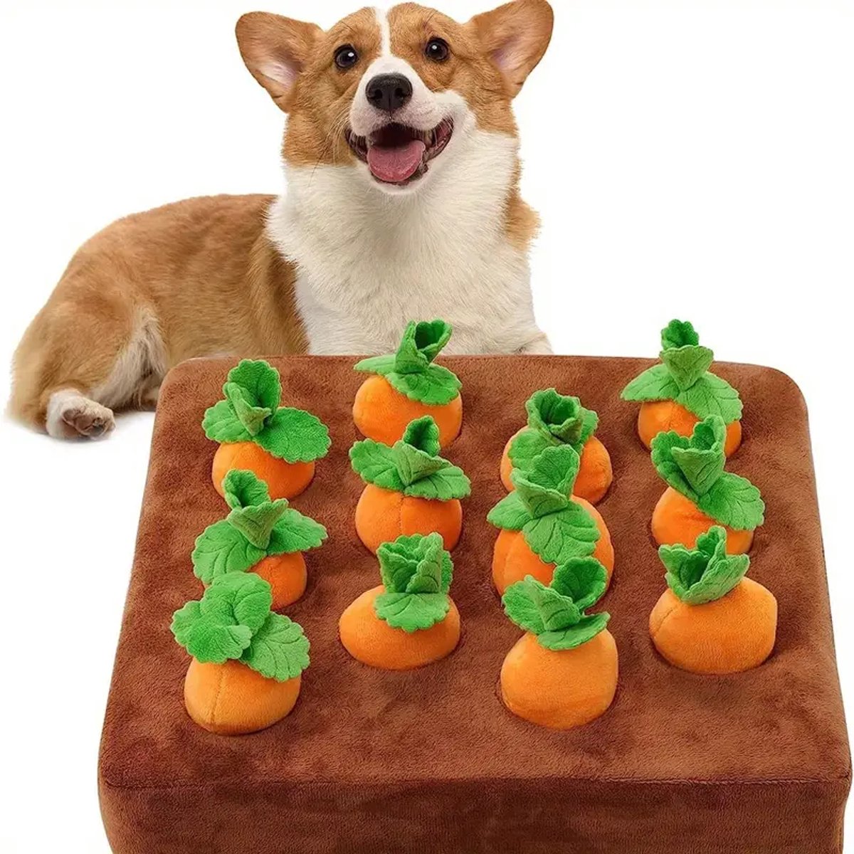 Snuffelmat Hond – Puzzle Hond – Snuffel Puzzle – 12 Wortels – Denkspel Hond – Hond – Snuffelmat