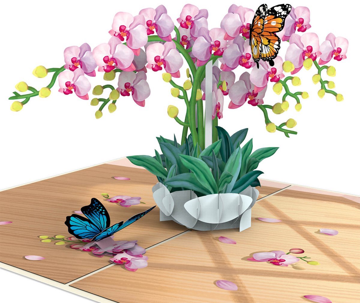 papercrush® Orchidee met vlinderpop-upkaart/wenskaart/vlinder/orchidee/cadeaubon/geldcadeau