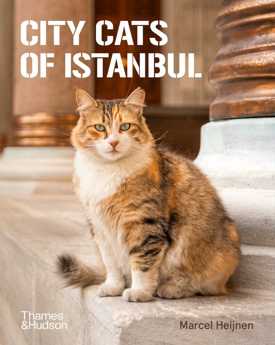 City Cats of Istanbul - cover