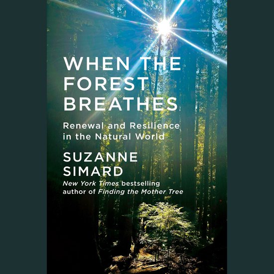 When the Forest Breathes - cover