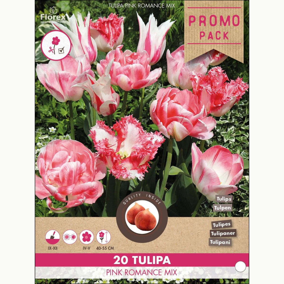 Tulp (Tulipa) - Pink Romance Mix - Snijbloemen - Voorjaarsbollen - bloeit in April / Mei
