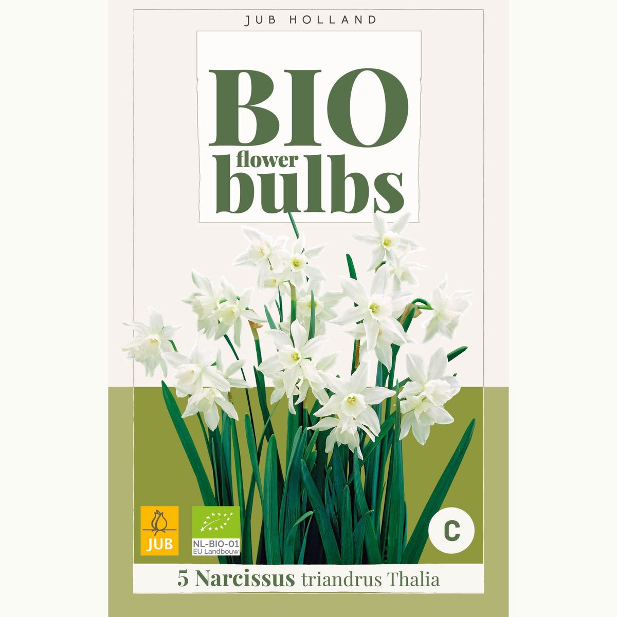 Engelen narcissus (Narcissus triandrus) - Narcissus Thalia – Narcissen BIO - Bijen-Vlinders - Biologische-Ecologische bollen - bloeit in Maart / April