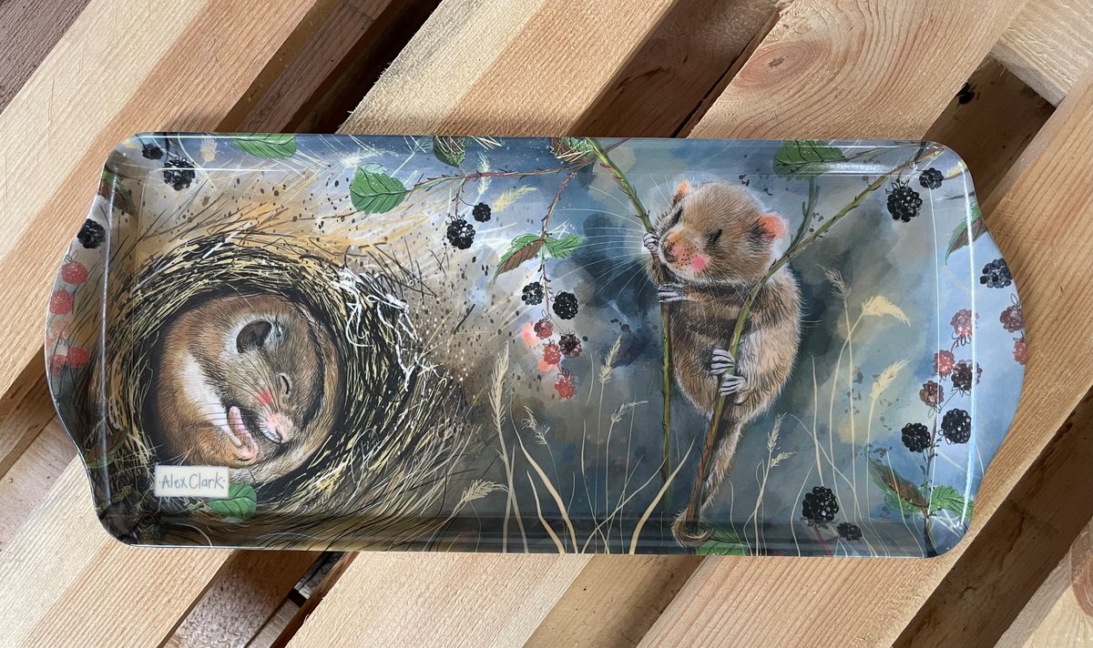 Alex Clark Dienblad Medium Muizen ~ Melamine Tray Dormouse