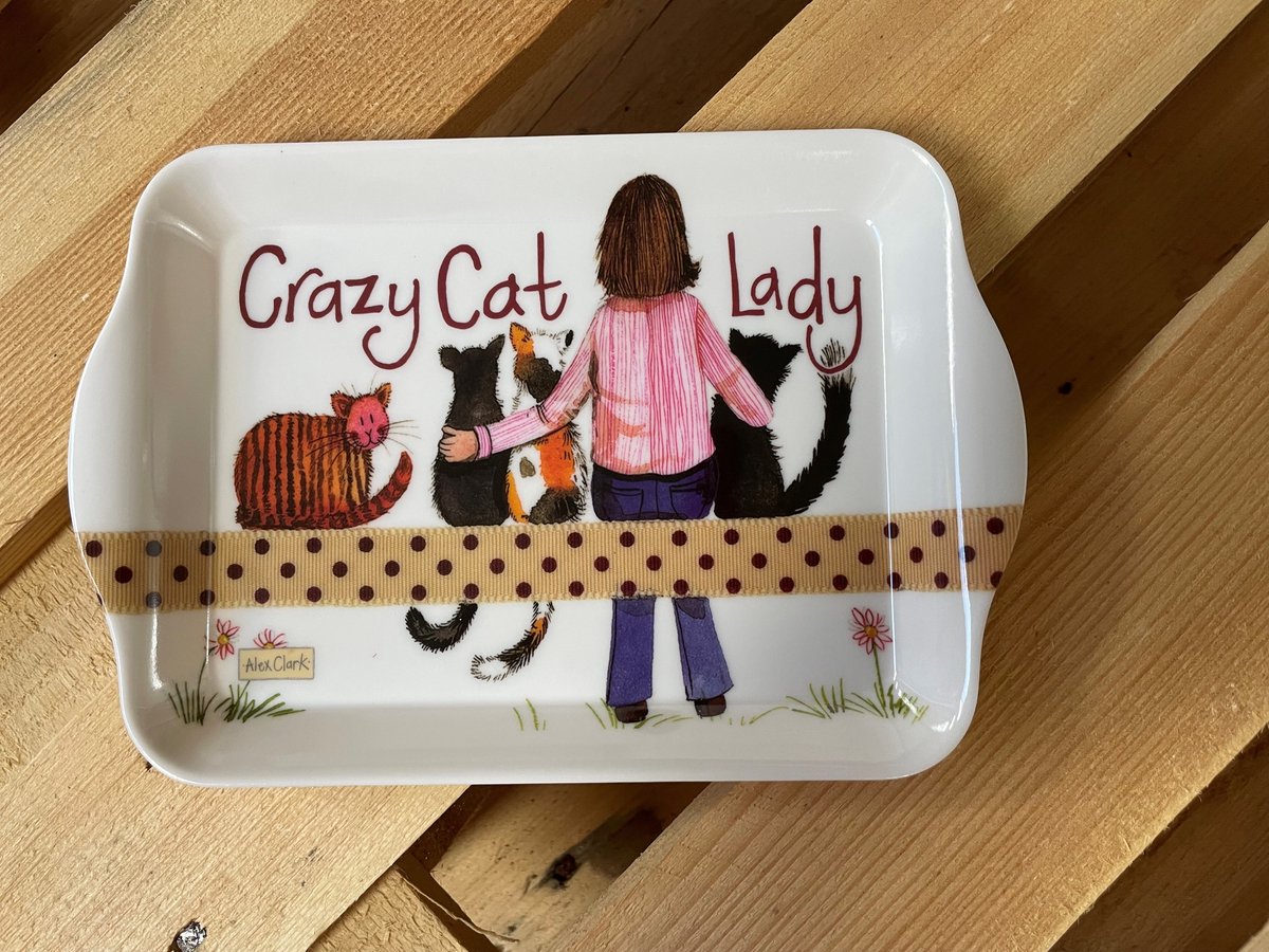 Alex Clark Dienblad Klein Formaat Katten ~ Melamine Tray Crazy Cat Lady