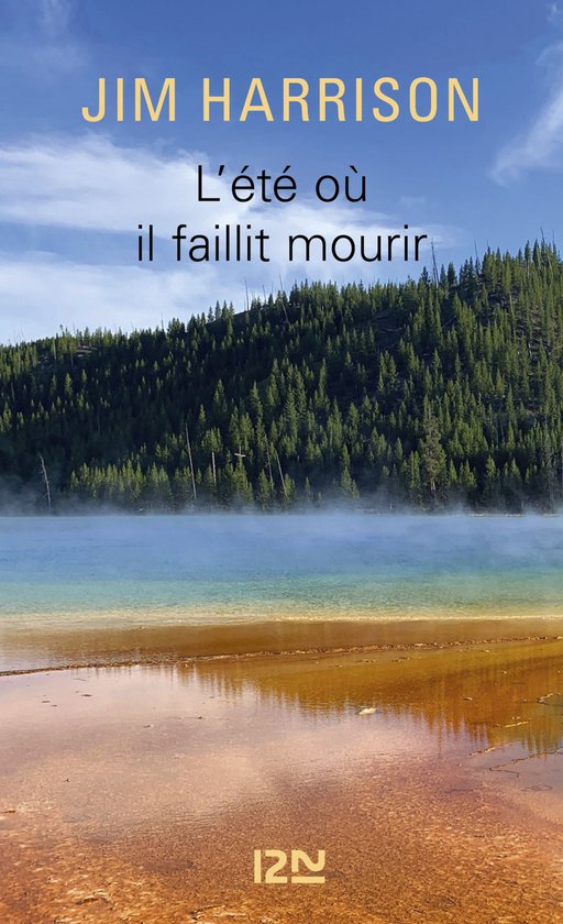 Hors collection - L'été où il faillit mourir